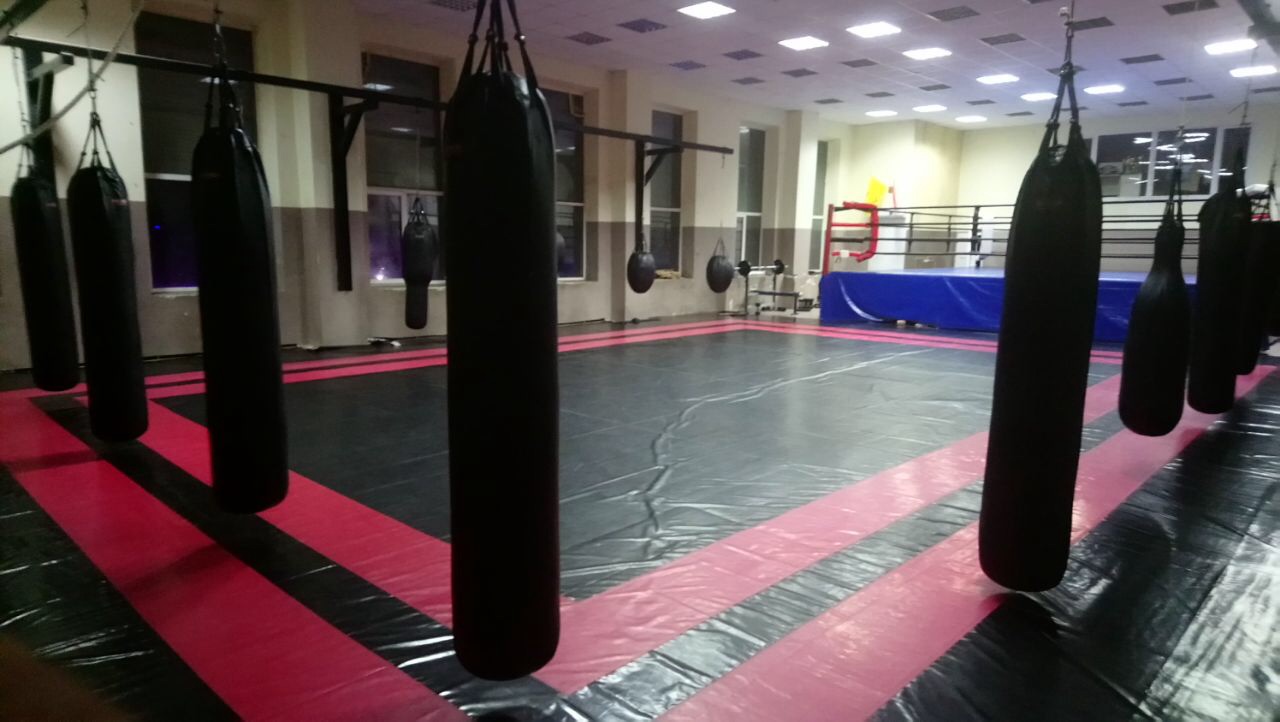 Академия Спортивных Единоборств